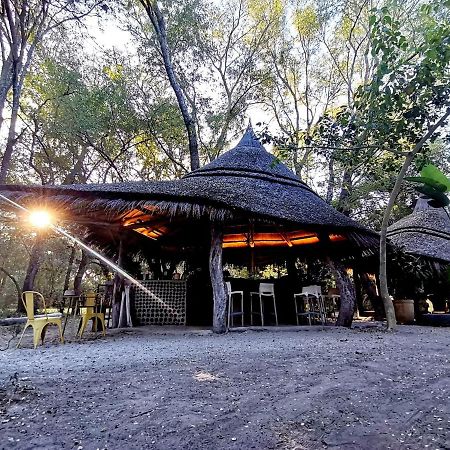 The Tshilli Farm & Lodge Maun Exterior foto